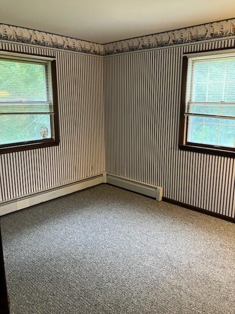 spare room with carpet floors