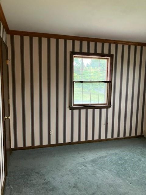 unfurnished room featuring carpet flooring