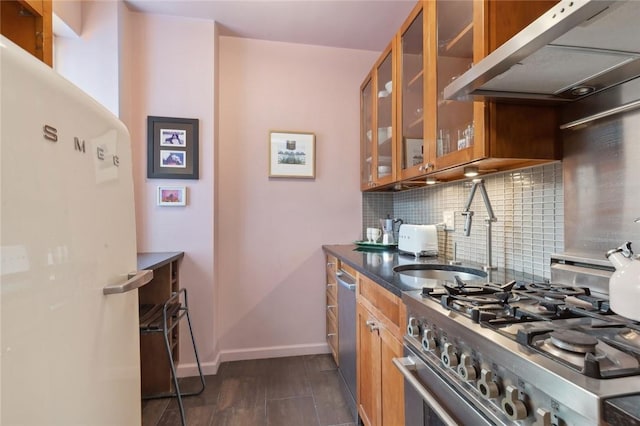 kitchen with sink, tasteful backsplash, dark hardwood / wood-style flooring, exhaust hood, and appliances with stainless steel finishes