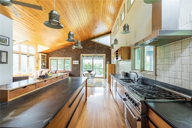 kitchen featuring sink, backsplash, extractor fan, light hardwood / wood-style floors, and high end range