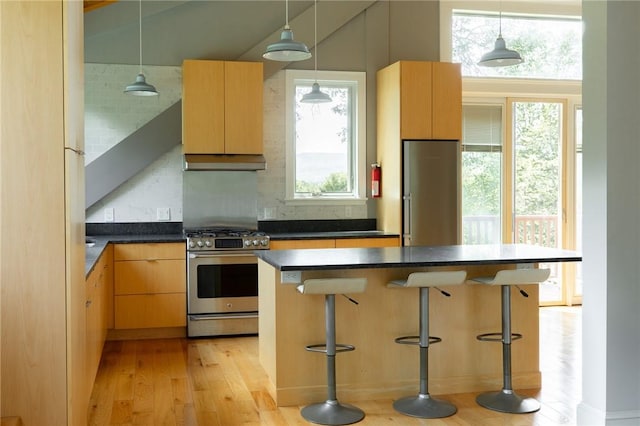 kitchen featuring a wealth of natural light, stainless steel appliances, decorative light fixtures, and light hardwood / wood-style floors