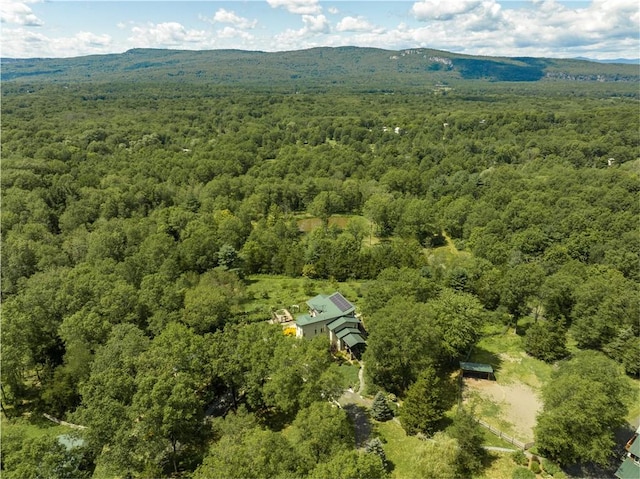 birds eye view of property with a mountain view