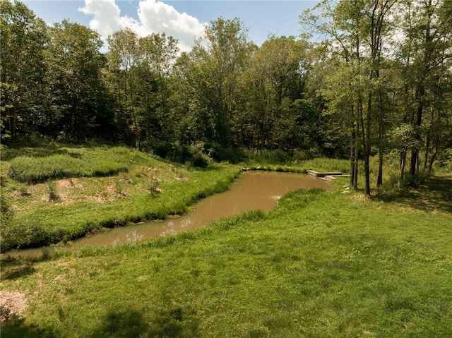 view of home's community with a water view