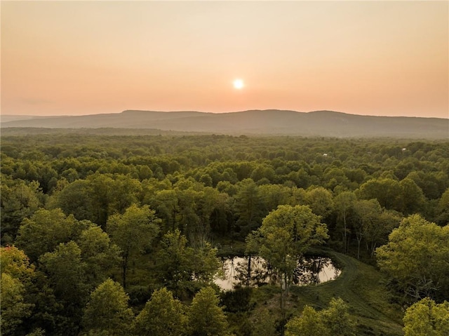 property view of mountains with a water view