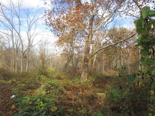 3766 Foothill St, Mohegan Lake, NY 10547