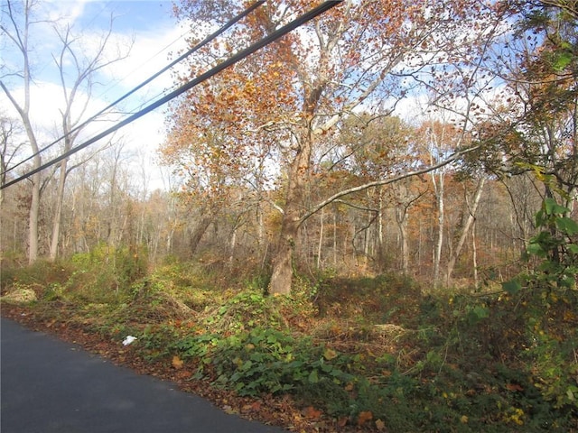 3766 Foothill St, Mohegan Lake, NY 10547