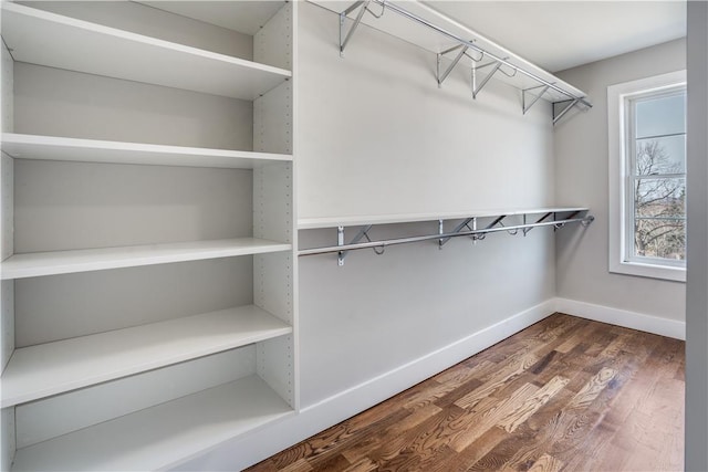 walk in closet with dark hardwood / wood-style floors