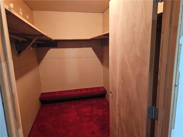 spacious closet featuring carpet flooring