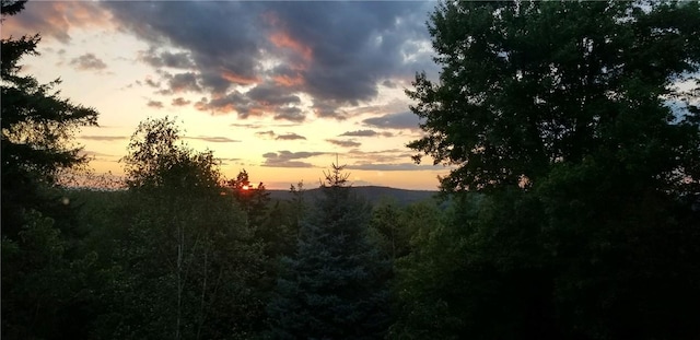 view of nature at dusk