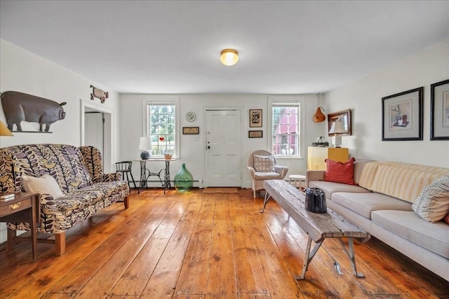 living room with wood-type flooring and a wealth of natural light