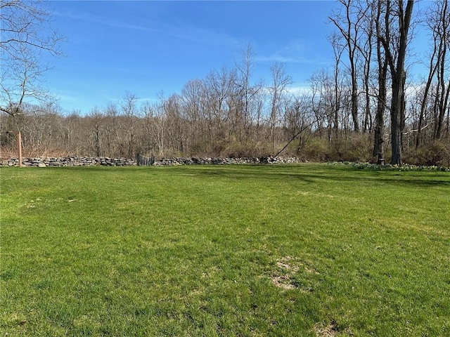 view of yard with a rural view