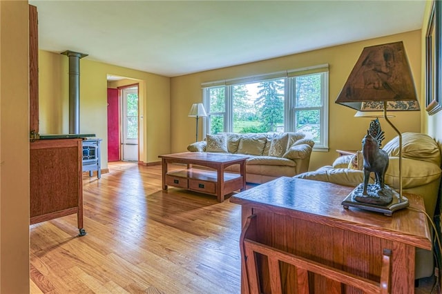 living room with light hardwood / wood-style floors