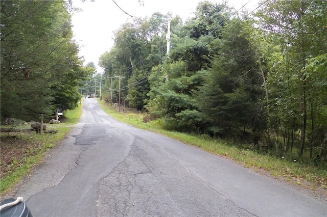 Painter Hill Rd, Mountain Dale NY, 12763 land for sale