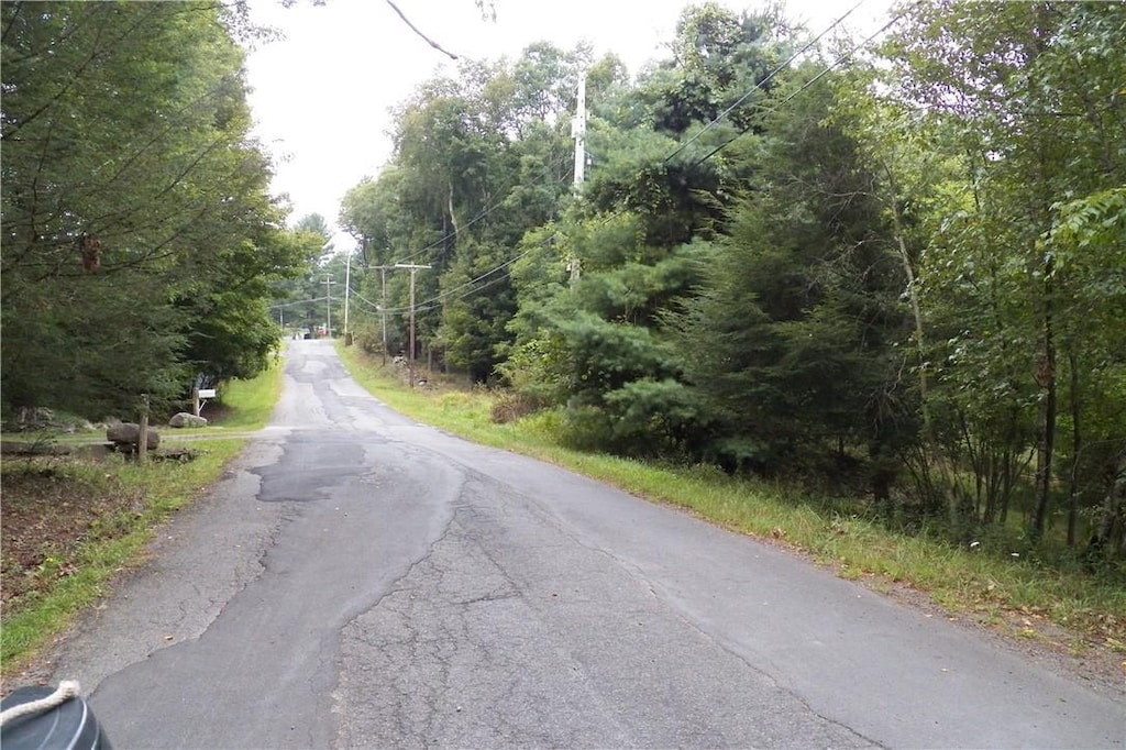 Painter Hill Rd, Mountain Dale, NY 12763 - photo 1