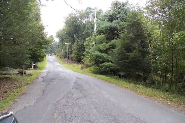 Painter Hill Rd, Mountain Dale, NY 12763 - photo 1