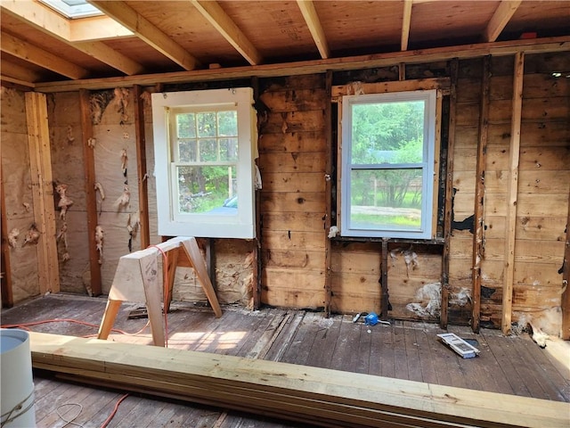 miscellaneous room featuring hardwood / wood-style floors, a wealth of natural light, and a skylight