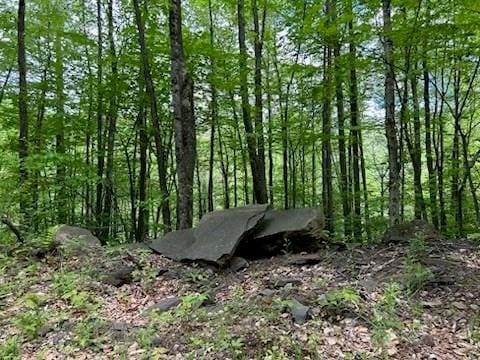 Railroad Rd, Hunter NY, 12450 land for sale