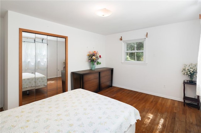 bedroom featuring a closet and dark wood-type flooring