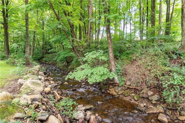 view of local wilderness