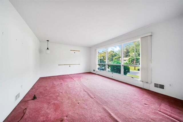 unfurnished room with carpet floors