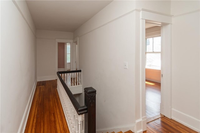 hallway featuring wood-type flooring