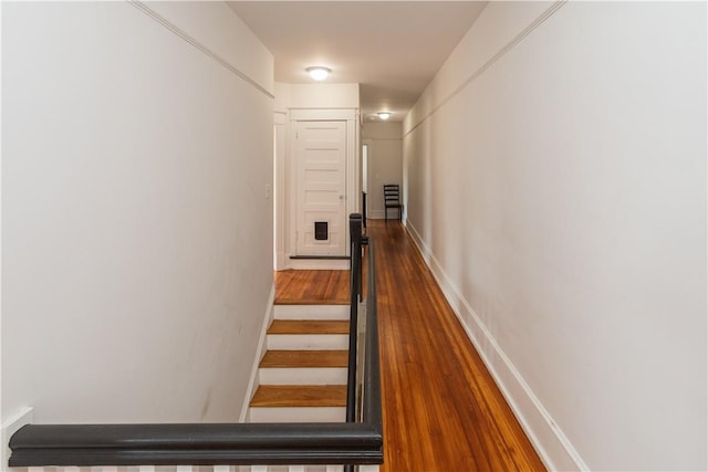 staircase featuring hardwood / wood-style floors