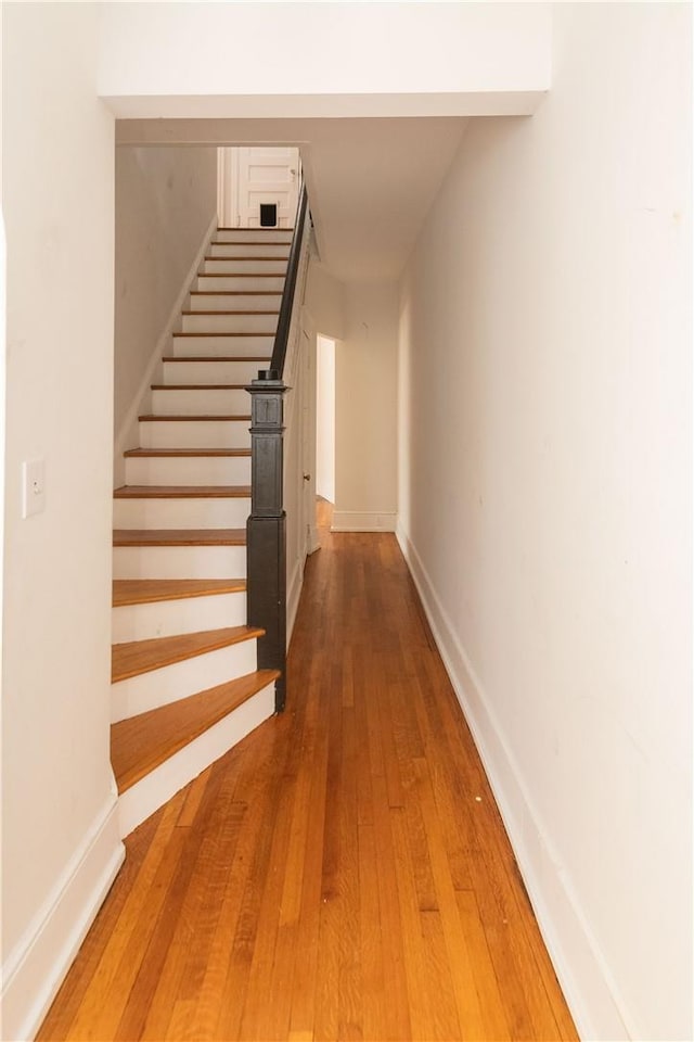 stairway featuring wood-type flooring