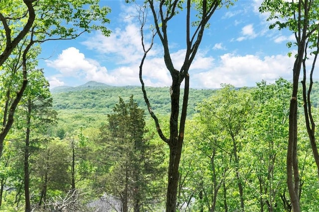 view of mountain feature