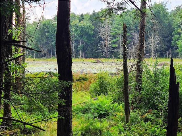 LOT23 Deer Meadow Rd, Bethel, NY 12720 - photo 5