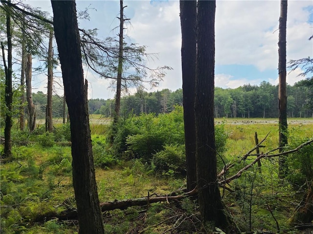 LOT23 Deer Meadow Rd, Bethel, NY 12720 - photo 6
