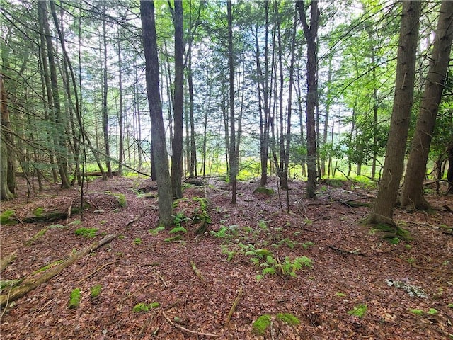 LOT23 Deer Meadow Rd, Bethel, NY 12720 - photo 7
