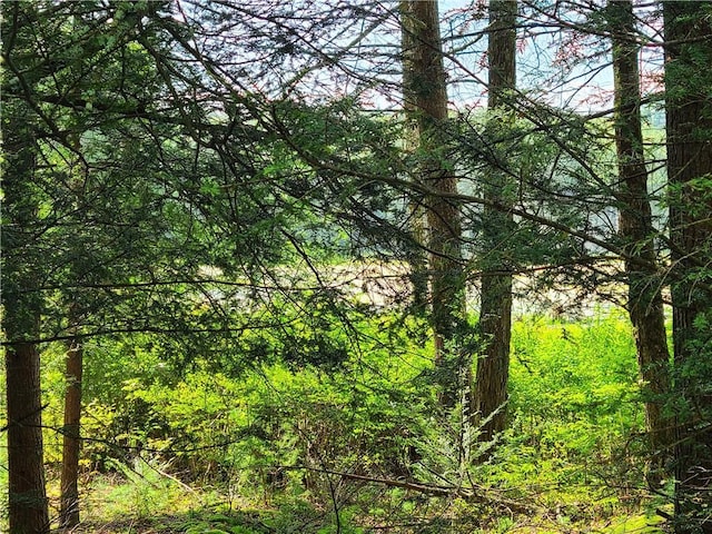 LOT23 Deer Meadow Rd, Bethel, NY 12720 - photo 8