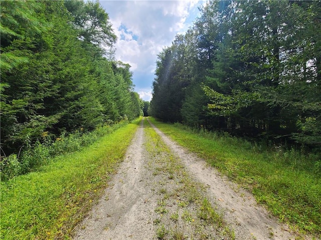 LOT23 Deer Meadow Rd, Bethel, NY 12720 - photo 9