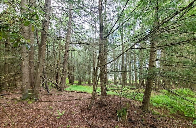 LOT23 Deer Meadow Rd, Bethel, NY 12720 - photo 10