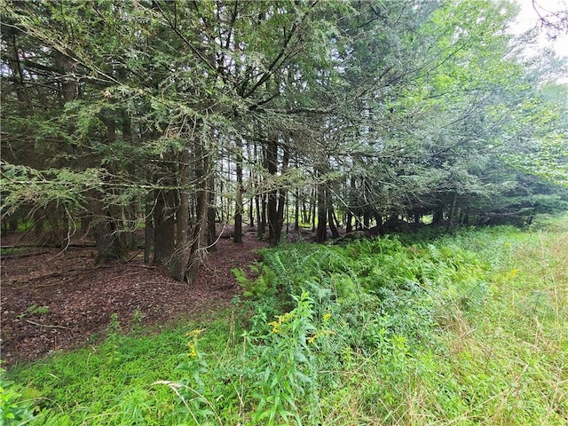 LOT23 Deer Meadow Rd, Bethel, NY 12720 - photo 11