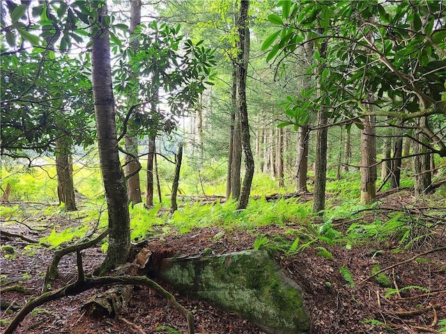LOT23 Deer Meadow Rd, Bethel, NY 12720 - photo 15