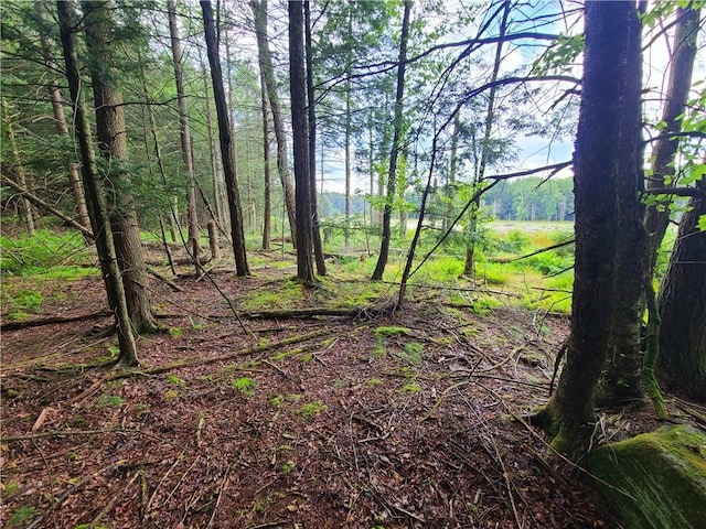 LOT23 Deer Meadow Rd, Bethel, NY 12720 - photo 16