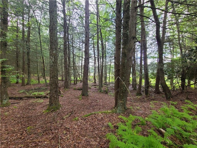 LOT23 Deer Meadow Rd, Bethel, NY 12720 - photo 17