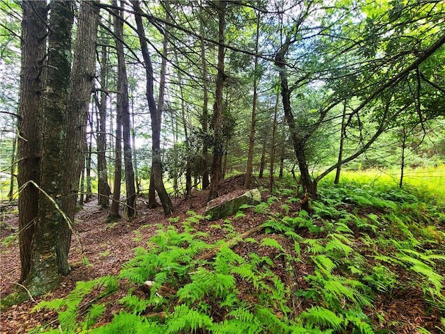LOT23 Deer Meadow Rd, Bethel, NY 12720 - photo 18