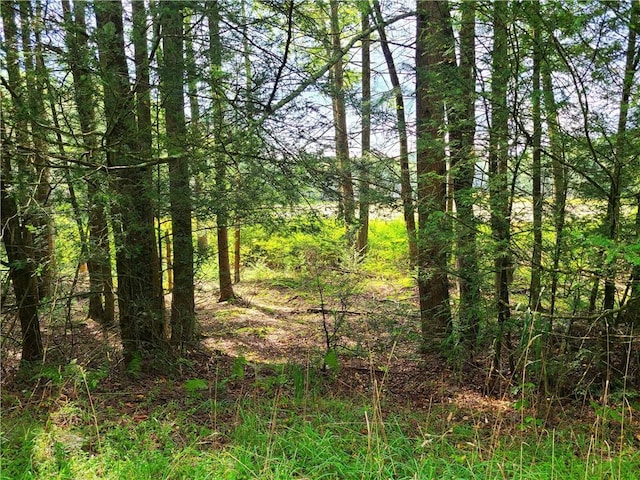LOT23 Deer Meadow Rd, Bethel, NY 12720 - photo 19