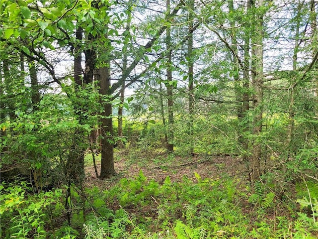 LOT23 Deer Meadow Rd, Bethel, NY 12720 - photo 20