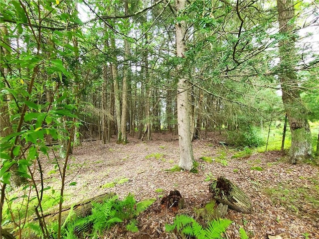 LOT23 Deer Meadow Rd, Bethel, NY 12720 - photo 21