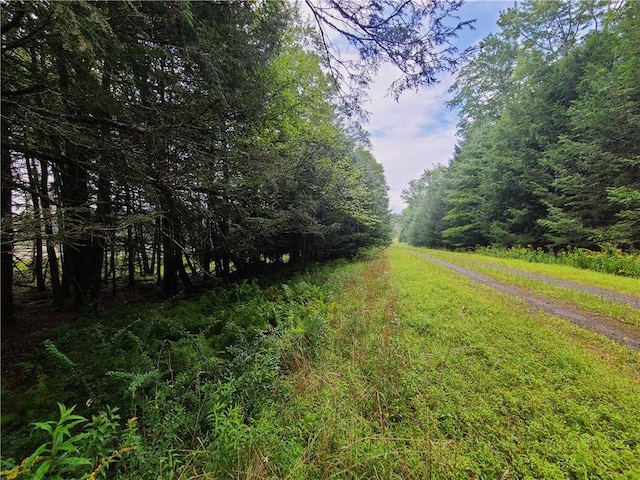 LOT23 Deer Meadow Rd, Bethel, NY 12720 - photo 22