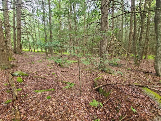 LOT23 Deer Meadow Rd, Bethel, NY 12720 - photo 23