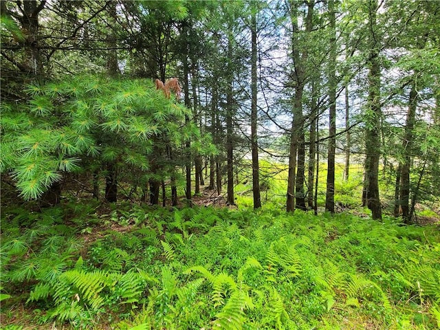 LOT23 Deer Meadow Rd, Bethel, NY 12720 - photo 24