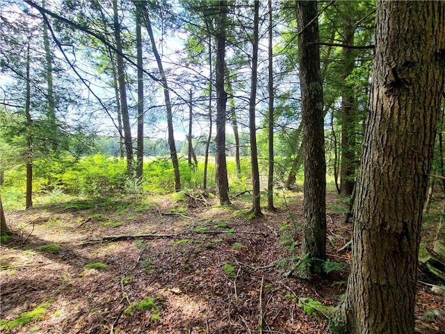 LOT23 Deer Meadow Rd, Bethel, NY 12720 - photo 25