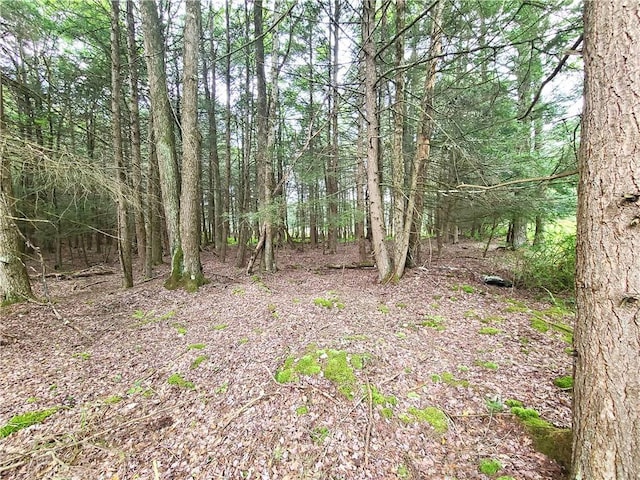 LOT23 Deer Meadow Rd, Bethel, NY 12720 - photo 26