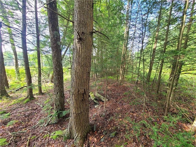 LOT23 Deer Meadow Rd, Bethel, NY 12720 - photo 27