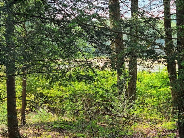 LOT23 Deer Meadow Rd, Bethel, NY 12720 - photo 28