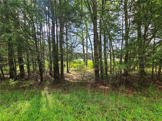 LOT23 Deer Meadow Rd, Bethel, NY 12720 - photo 29